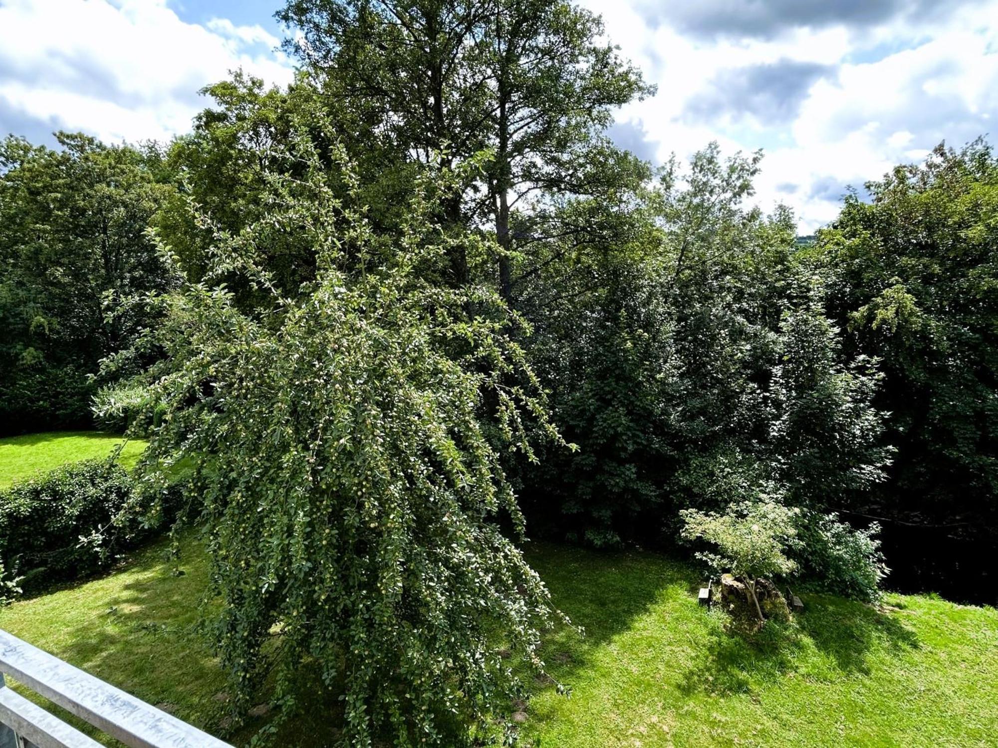 Ferienwohnung Sauerland An Der Ruhr Olsberg Exterior foto