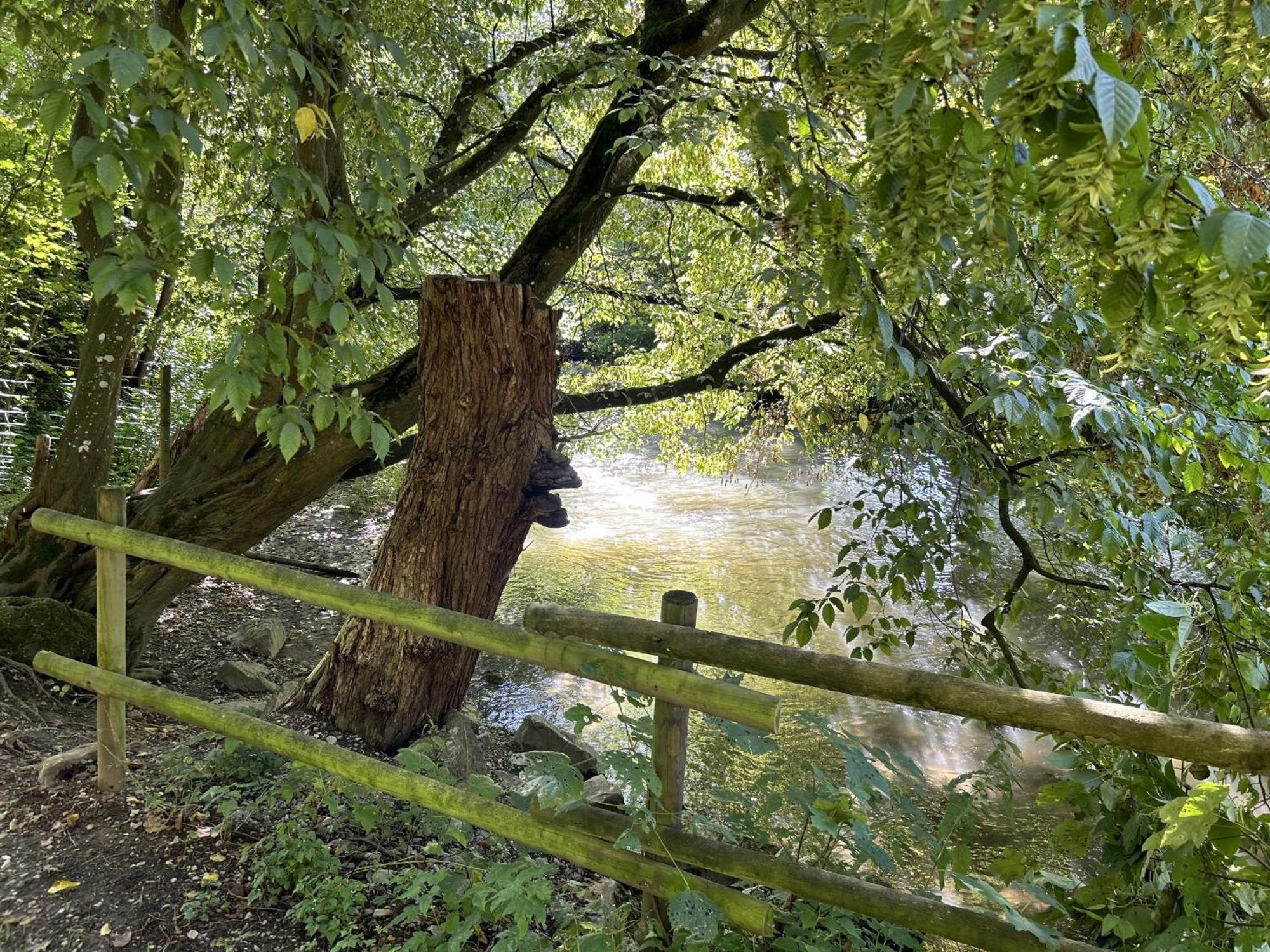 Ferienwohnung Sauerland An Der Ruhr Olsberg Exterior foto